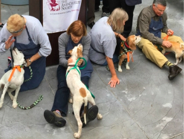 Four adult volunteers with dogs on leashes at an adoption event. 