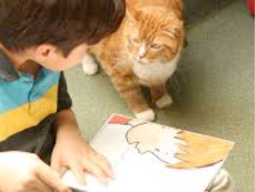 Little boy reading a book on the floor next to his cat. 