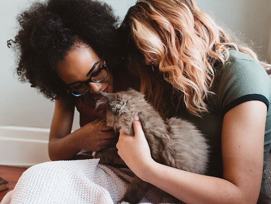 Two women embrace as they hold a grey cat