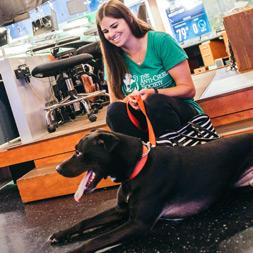 A dark haired woman in a green t-shirts sits with a black dog in a TV studio
