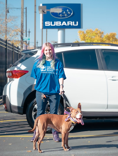 A woman holding the leash of a medium sized down below a Subaru sign