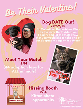 Dog Date Out Event poster