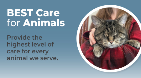 BEST Care for Animals