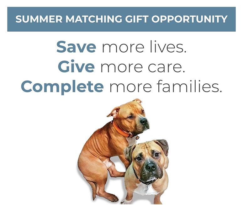 Summer matching gift opportunity