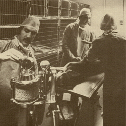 A photo from Anti-Cruelty's clinic in 1971