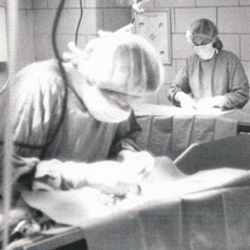 A photo from Anti-Cruelty's Clinic circa 1991