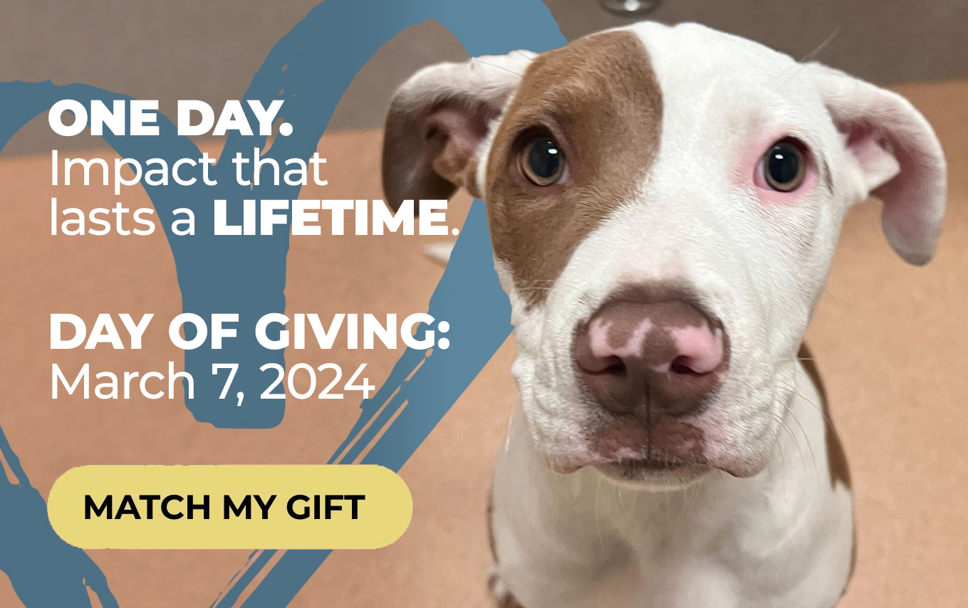 Day of Giving 2024: Double Your Gift