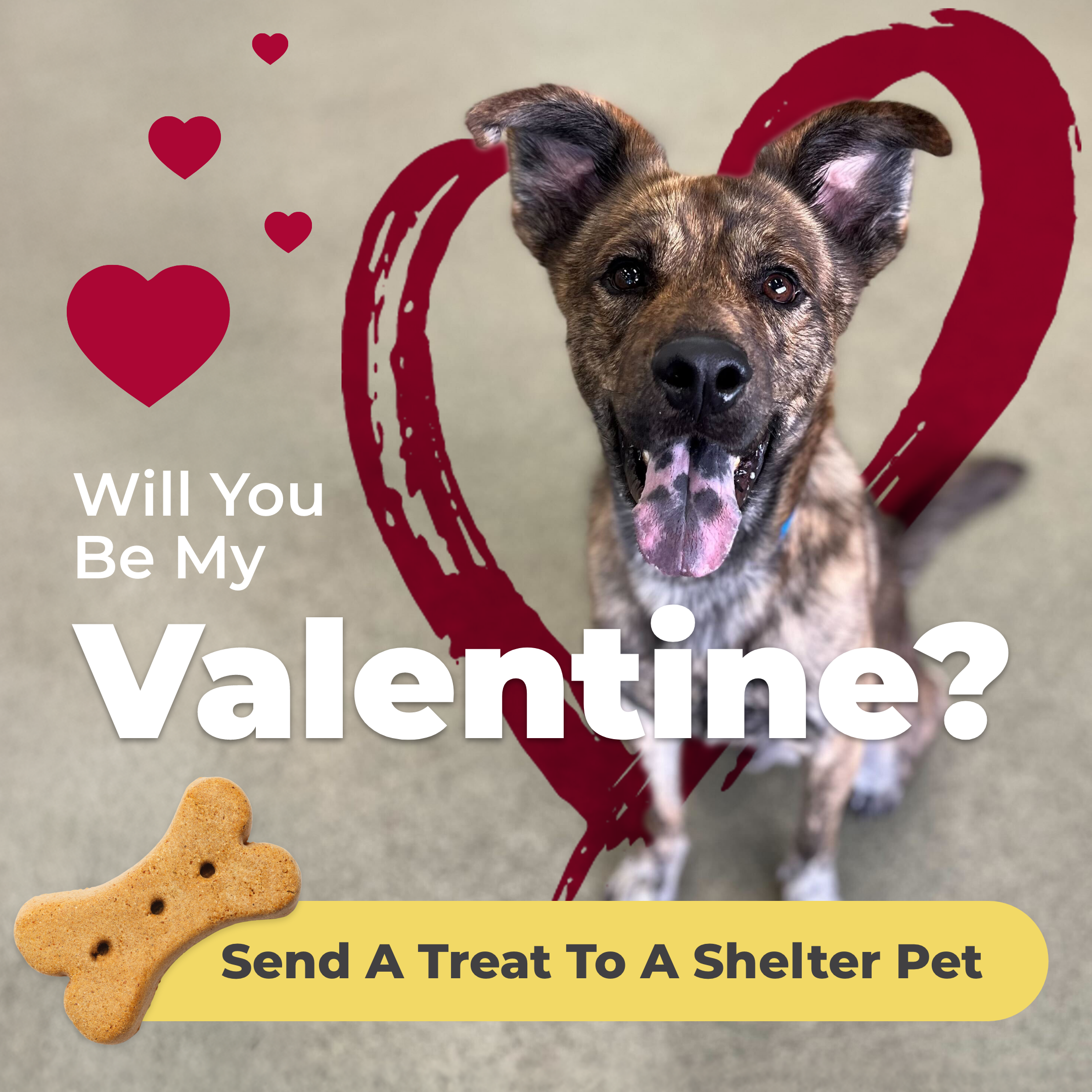 Send a treat to a shelter pet