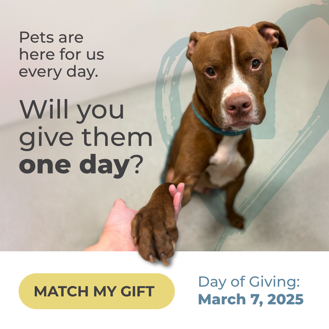 Your gift will be MATCHED, up to $100,000, from now until March 7, 2025, our Founder's Day Celebration.