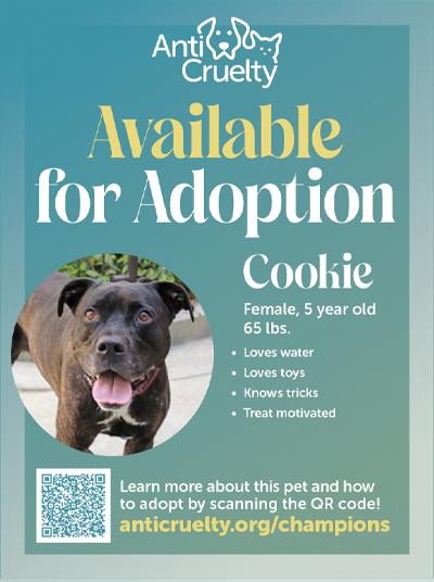 Adopt Cookie