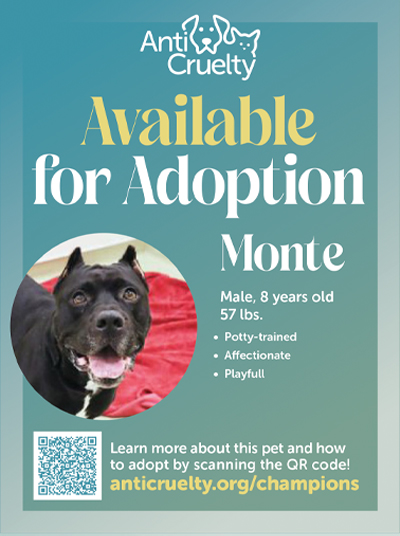 Adopt Monte