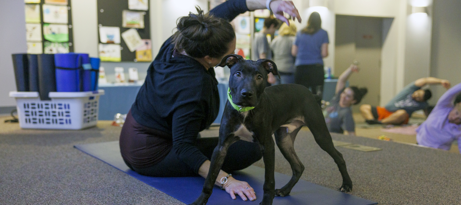 A woman doing yoga next to a dog