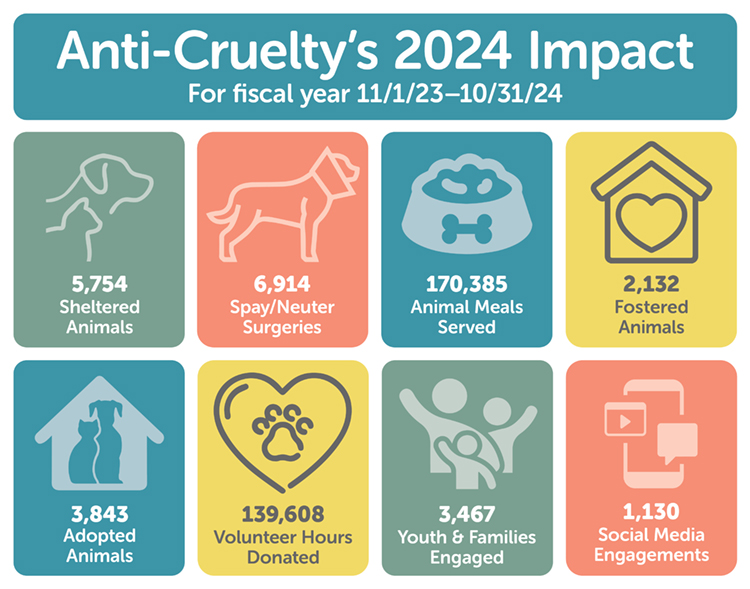2024-Impact-Stats-Horizontal_for-web.jpg