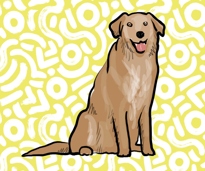 An illustration of a dog