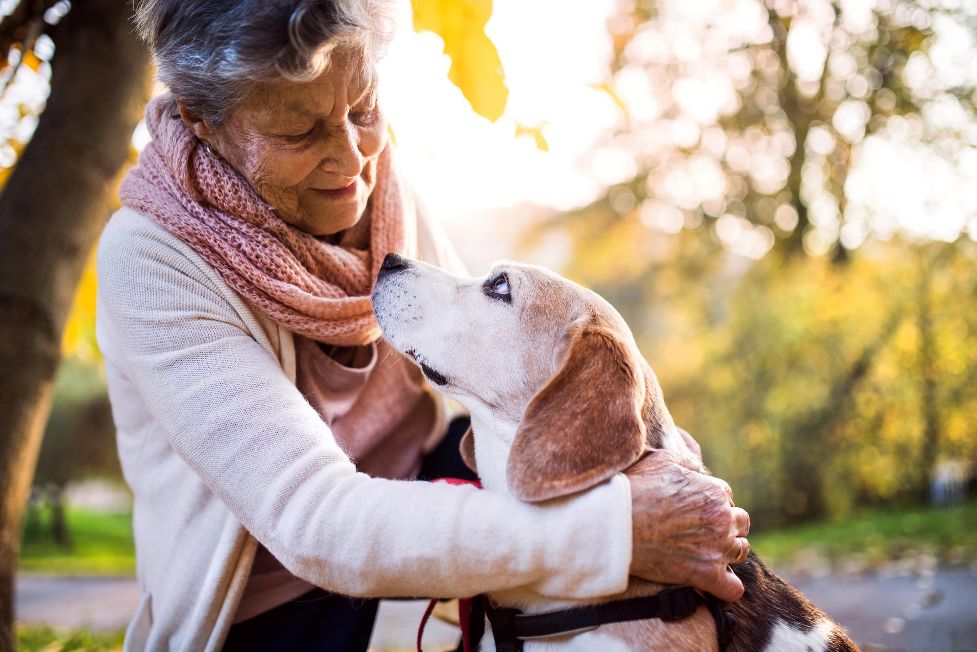 An older woman holds a dog