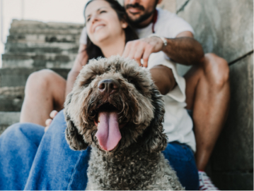 Couple sitting on stairs outside with their brown dog with his tongue hanging out