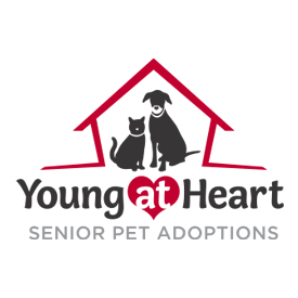 Young At Heart Senior Pet Adoption