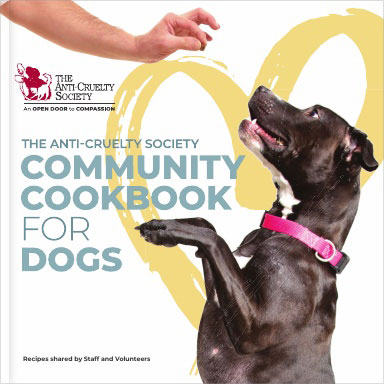 cookbook_cover_web.jpg