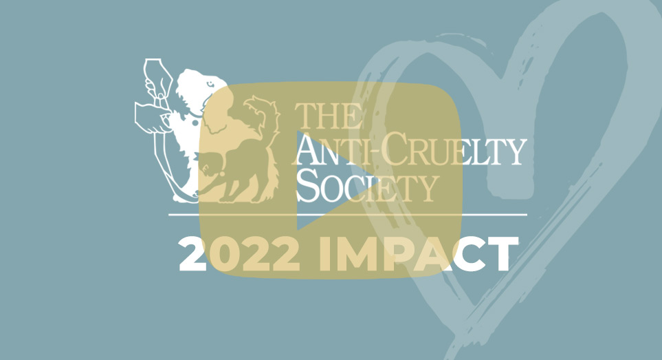 Watch our 2022 Impact Video