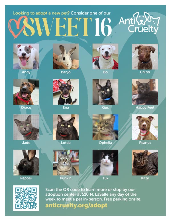may_sweet16_preview2.jpg