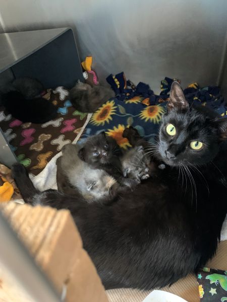 momma%20and%206%20neo%201.jpg