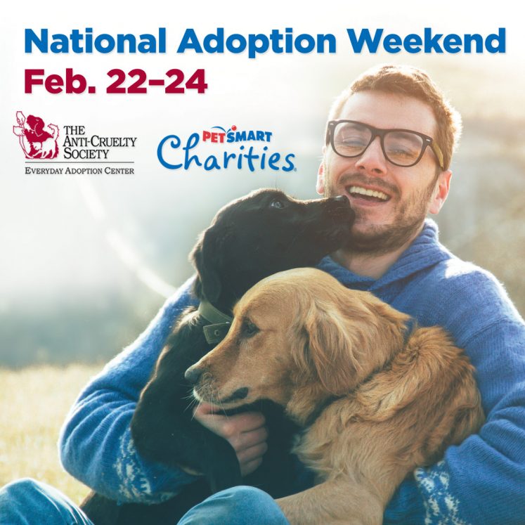 Adoption weekend ad