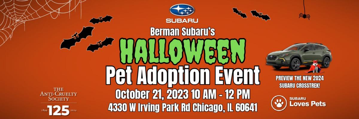Berman Subaru's Halloween Pet Adoption Event