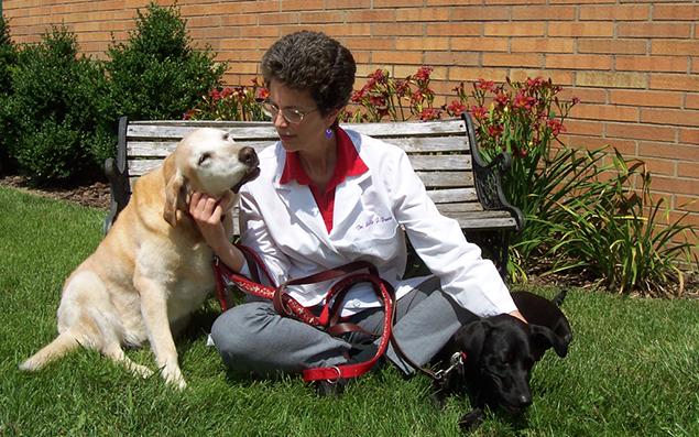 Woman with brown curly hair petting a yellow lab and black lab