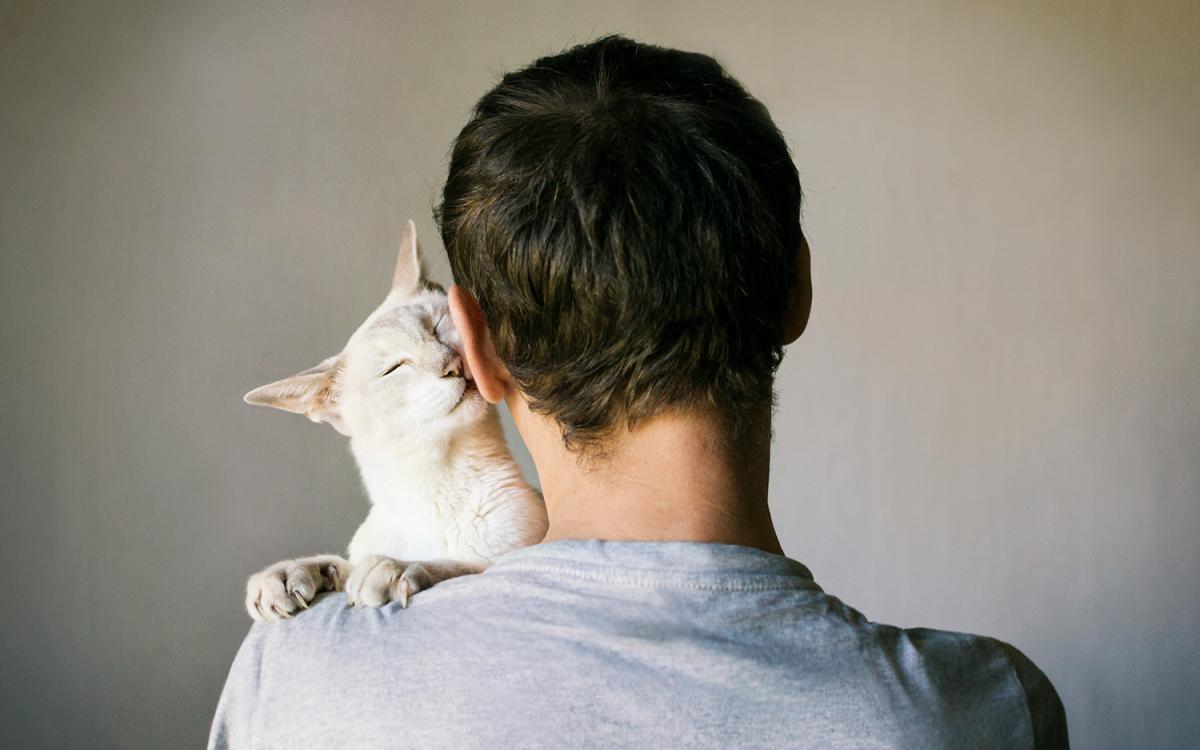 white cat snuggling up on the shoulder of a white man with dark hair