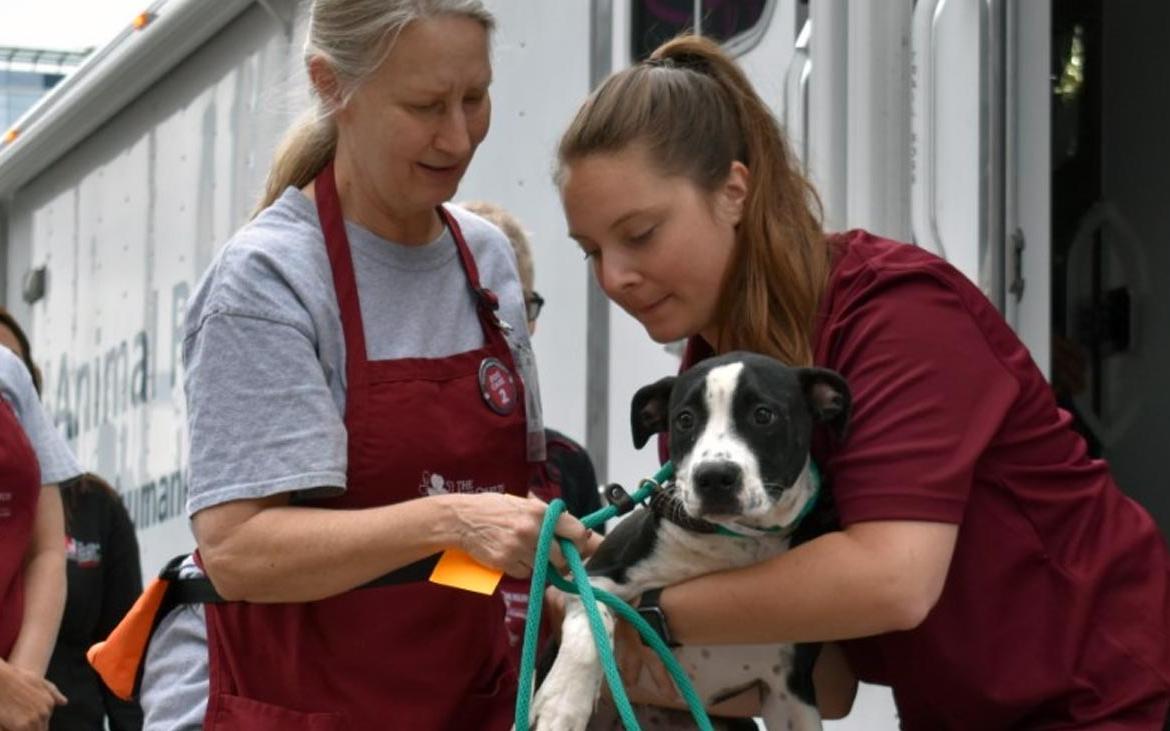 Woman in red shirt hands black and white dog to woman in red apron