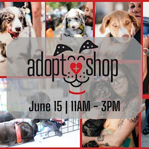Adopt Shop