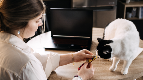 woman with brown hair next to black and white cat
