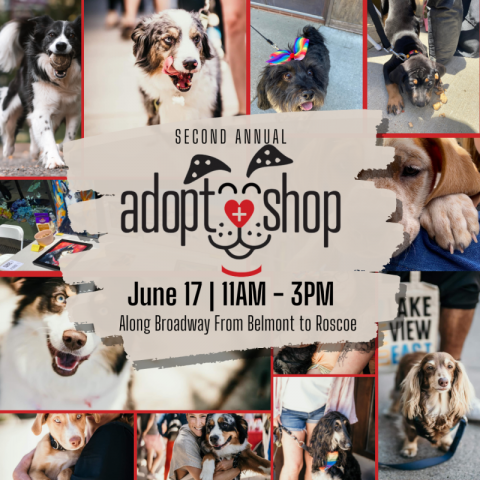 Adopt and shop flyer