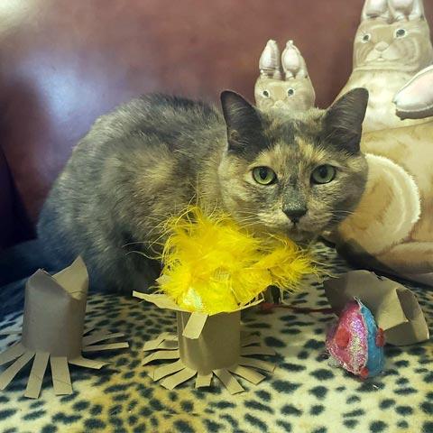 A cat stands on a chair surrounded by DIY crafts