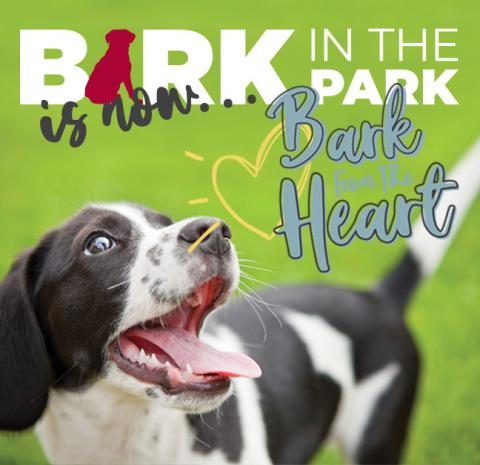dog with heart and text bark in the park is now bark from the heart