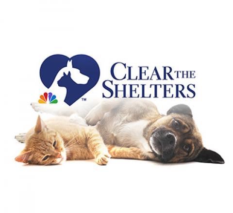Clear the Shelters 2022