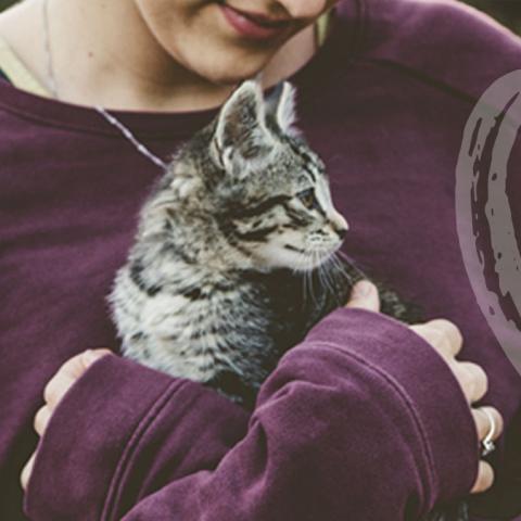 A blonde woman wearing a purple sweatshirt holds a cat