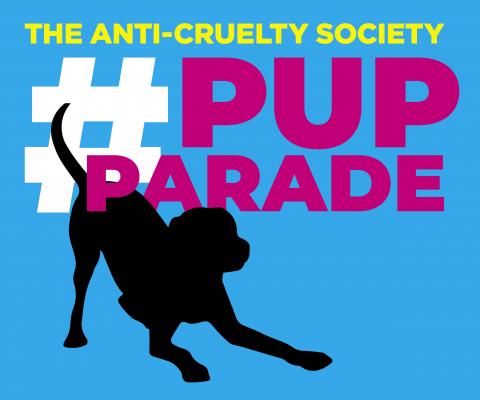 The Anti-Cruelty Society Pup Parade