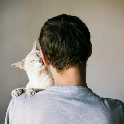 white cat snuggling up on the face of a white man with dark hair