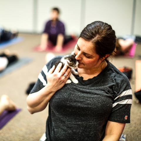 White woman in grey shirt holding a small kitten