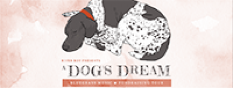 A black and white dog sleeping