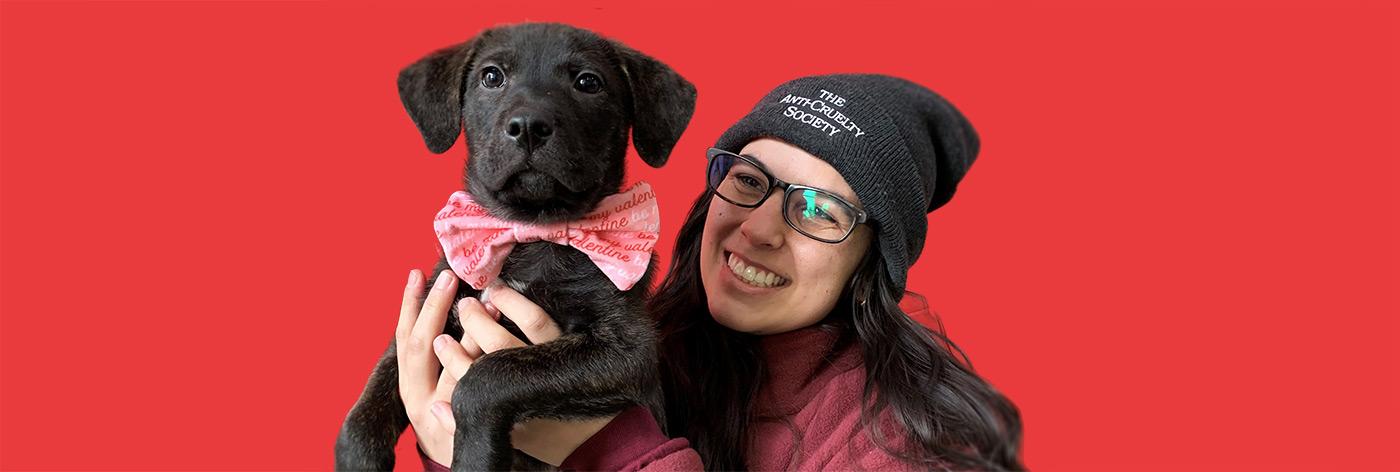 A young woman hold a black puppy up agains a red background
