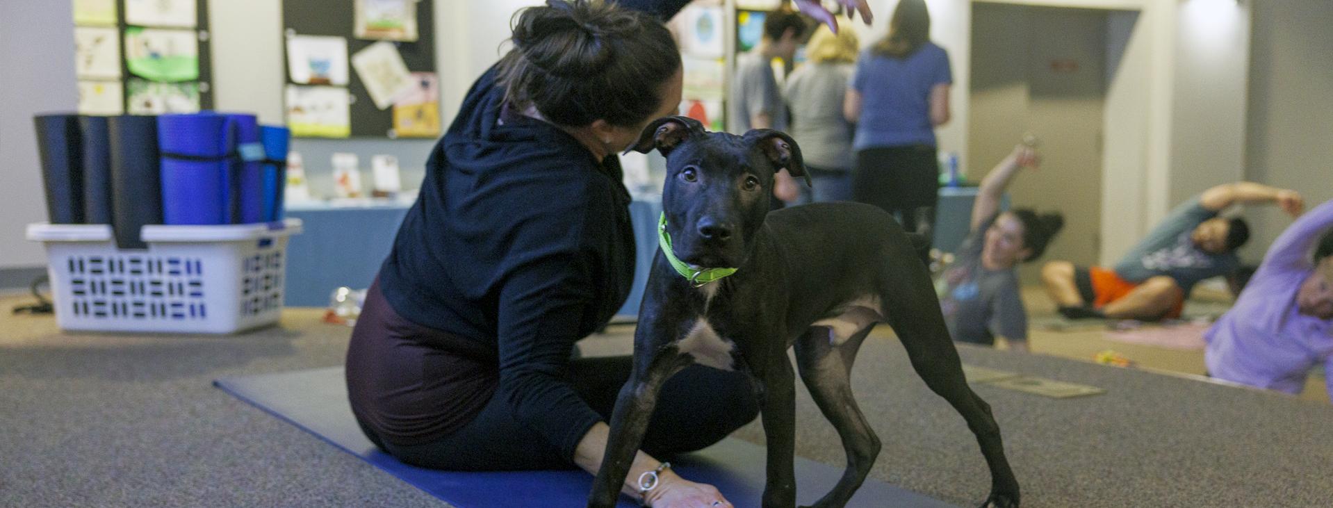 A owman doing yoga next to a dog