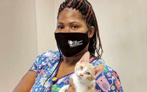A woman wearing a mask holds a kitten who was rescued from a garbage