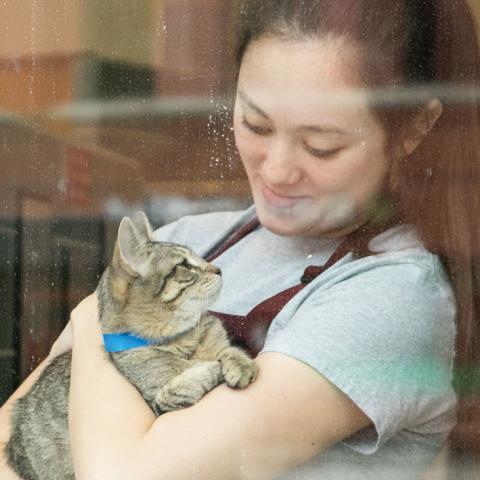 White woman with brown hair looking at a brown tabby cat