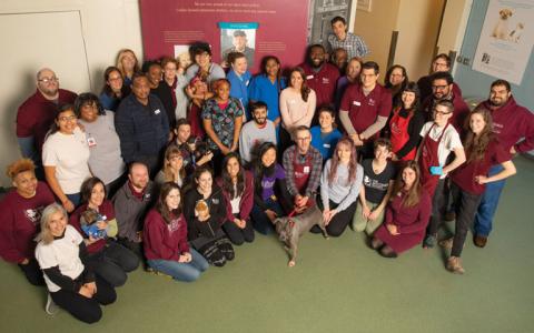 A large group of diverse staff from Anti-Cruelty pose for a photo in the adoption lobby