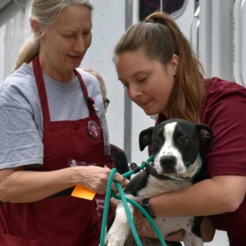 Woman in red shirt handing dog to woman in red apron