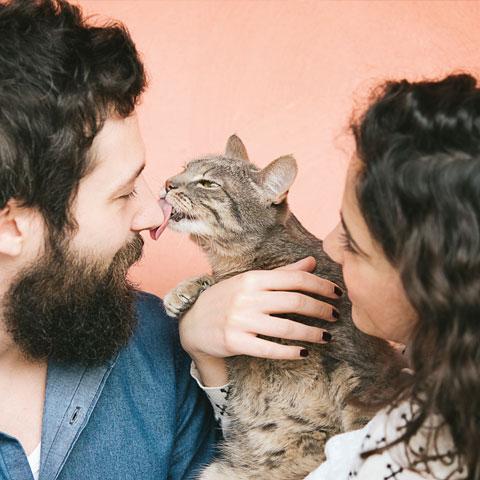 White man with brown hair and big brown beard is being licked by a brown and tan cat which is being held by a white woman with brown hair